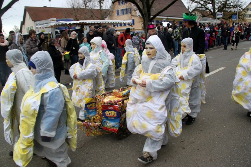 Sarmenstorf Fasnachtsumzug 16.02.2014 (14)